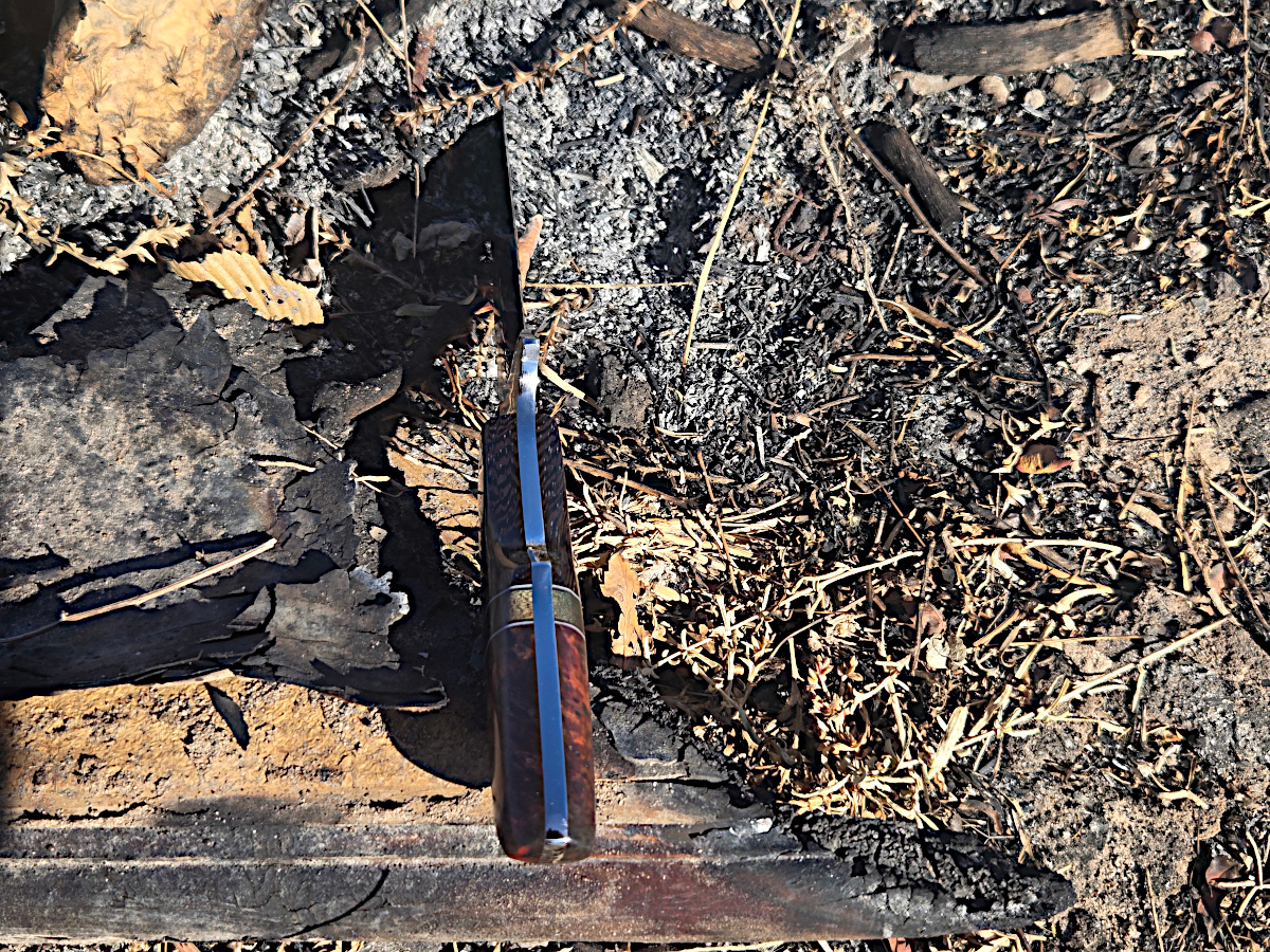 Attitude (EXP) - Image 3